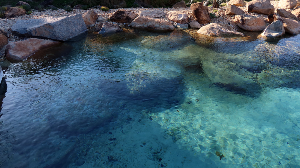 Large swimming recreational pond natural swimming crystal clear