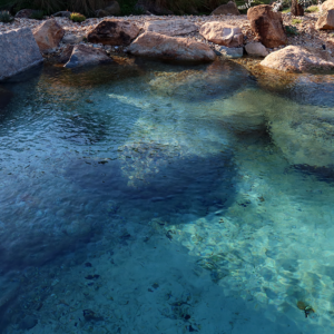 Large swimming recreational pond natural swimming crystal clear