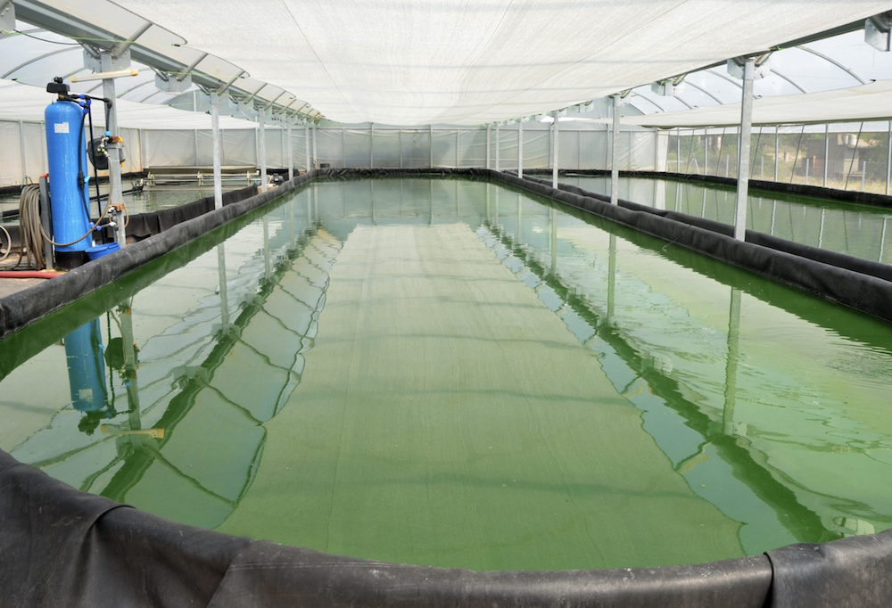 Rollgum-EPDM-liner-for-ponds-dams-lagoons-8-1.png