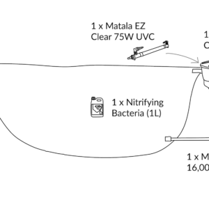 large diy pond kit swimming pond recreational pond design 2